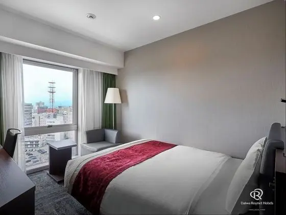 Standard Tek Büyük Yataklı Oda, Sigara İçilmez, Şehir Manzaralı
