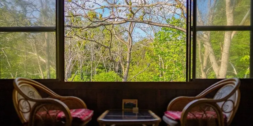 Traditional Oda, Sigara İçilmez (Japanese Style for 4 Guests, Toilet)