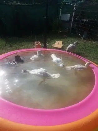 Basic Dört Kişilik Oda, Ortak Banyo