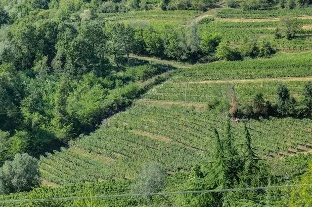 Dört Kişilik Oda (Stanza 3)
