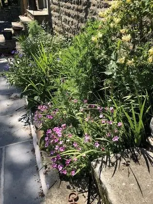 Family Oda, Sigara İçilmez