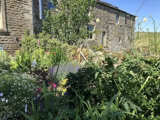 Family Oda, Sigara İçilmez