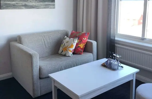 Superior Oda, Birden Çok Yatak, Sigara İçilmez (with Sofabed)