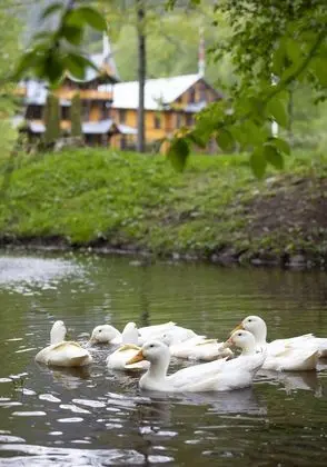 Deluxe Tek Büyük Yataklı Oda, Balkon