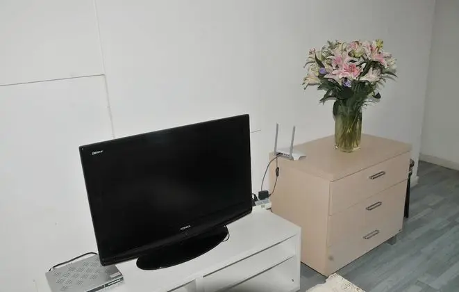 Süit