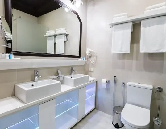 Superior Tek Büyük Yataklı Oda