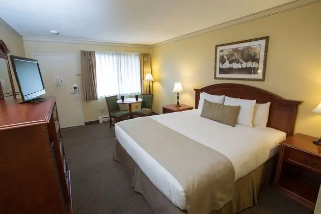 Stüdyo, 2 Çift Kişilik Yatak