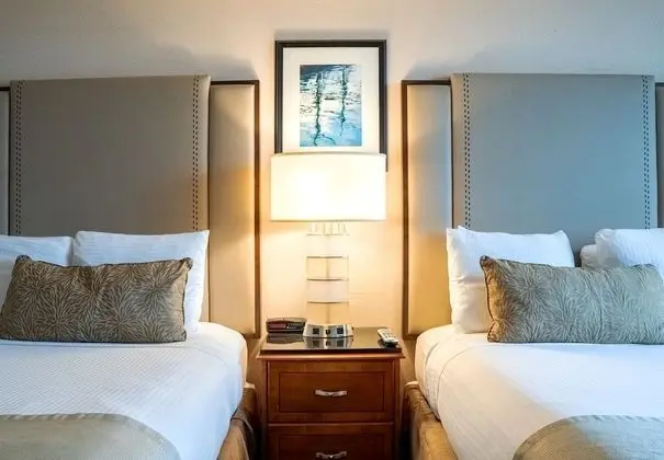 Stüdyo, 2 Çift Kişilik Yatak