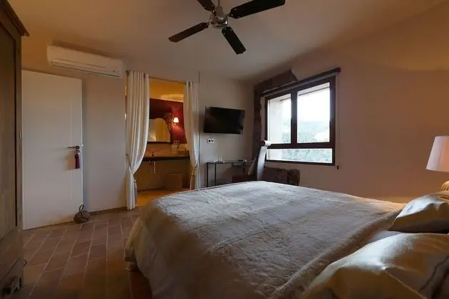 Standard Tek Büyük Yataklı Oda, Dağ Manzaralı