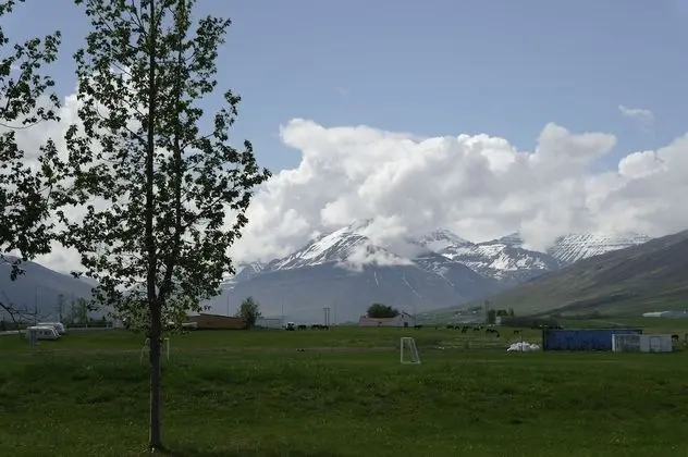 Economy Tek Büyük veya İki Ayrı Yataklı Oda, Ortak Banyo