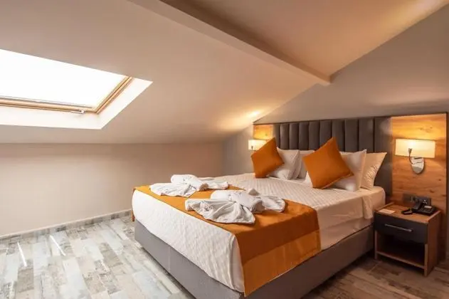Çatı Katı Oda, Dağ Manzaralı, Cam Tavanlı