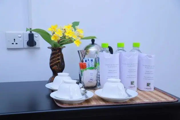 Deluxe Tek Büyük veya İki Ayrı Yataklı Oda