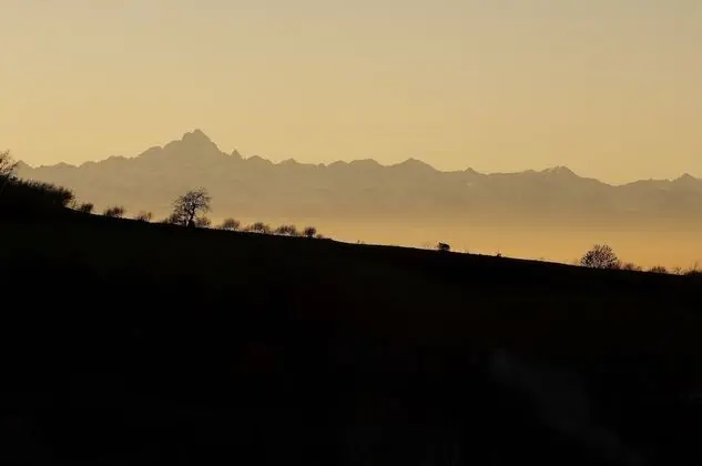 Deluxe Oda, 1 Büyük (Queen) Boy Yatak, Özel Banyo