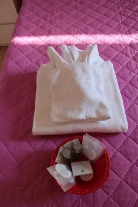 Tek Büyük veya İki Ayrı Yataklı Oda, Balkon