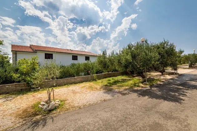 Apart Daire (Damir - A1(4+2))