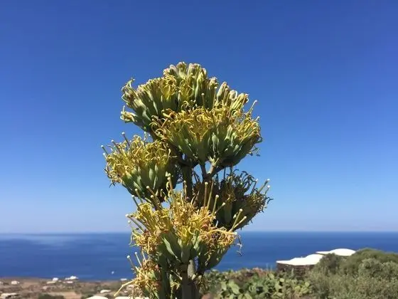 Exclusive Villa, 3 Yatak Odası, Kişiye Özel Havuzlu