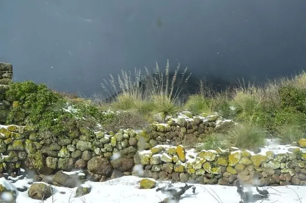 Ev, Banyolu/Duşlu, Bahçe Manzaralı