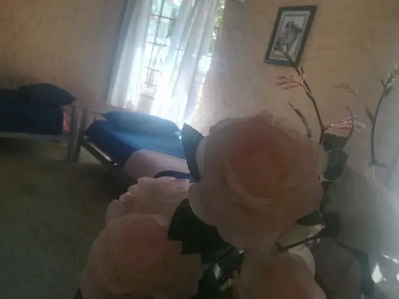 Dağ Evi