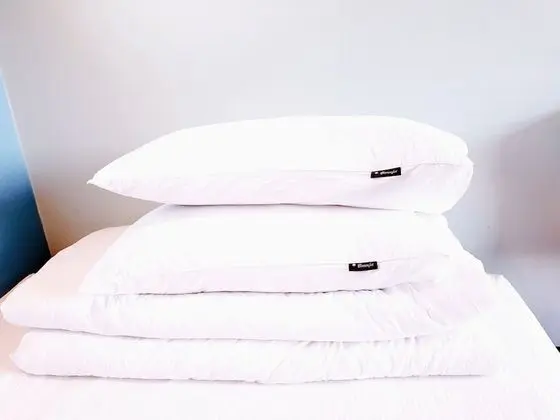 Standard Tek Büyük Yataklı Oda, 1 Çift Kişilik Yatak (2 persons)