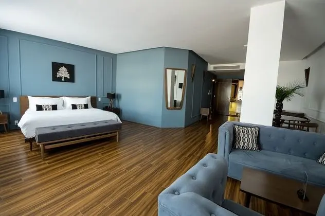 Premier Tek Büyük veya İki Ayrı Yataklı Oda, Şehir Manzaralı