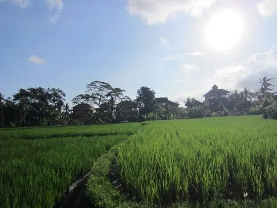 Standard Oda, 1 Çift Kişilik Yatak, Balkon