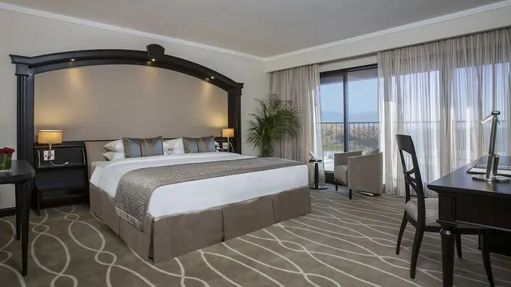 Executive Suite, Garden View