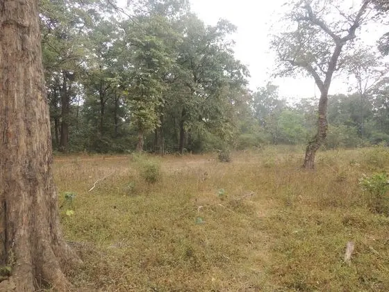 Oda, 2 Yatak Odası, Engellilere Uygun, Balkon