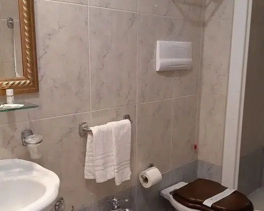 Superior Tek Büyük veya İki Ayrı Yataklı Oda