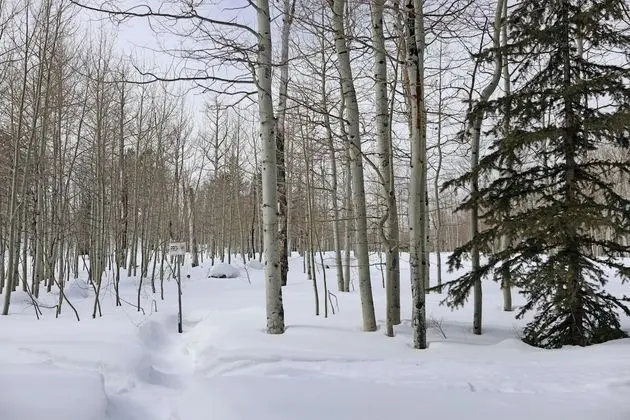 Deluxe Tek Kişilik Oda