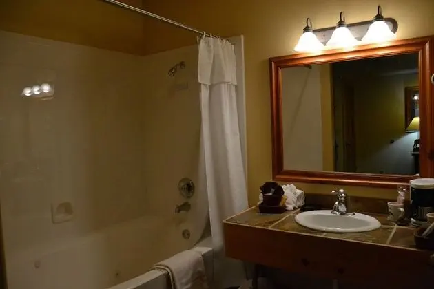 Deluxe Tek Kişilik Oda