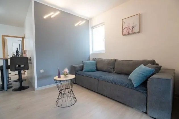 Apart Daire (Danka - free parking and grill - A1(2)