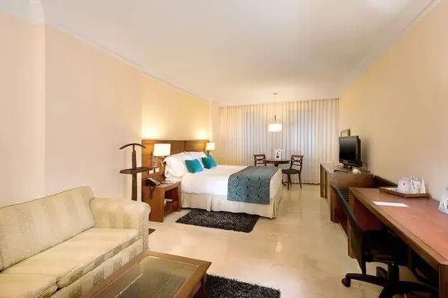 Standard Tek Büyük Yataklı Oda, 1 Büyük (Queen) Boy Yatak ve Çekyat