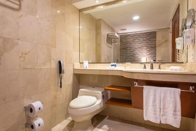 Standard Tek Büyük Yataklı Oda, 1 Büyük (Queen) Boy Yatak ve Çekyat