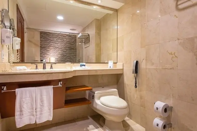 Standard Tek Büyük Yataklı Oda, 1 Büyük (Queen) Boy Yatak ve Çekyat