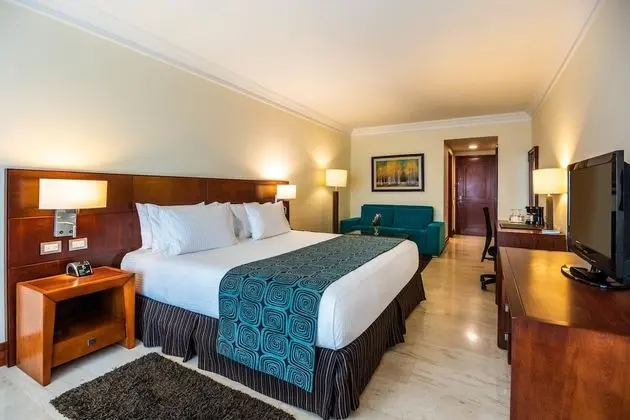 Superior Tek Büyük Yataklı Oda, 1 En Büyük (King) Boy Yatak ve Çekyat