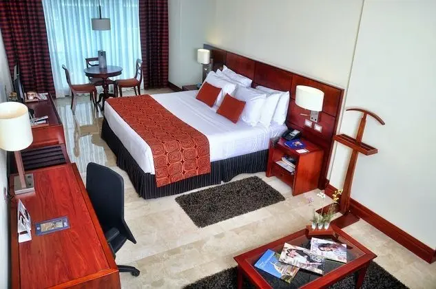 Superior Tek Büyük Yataklı Oda, 1 En Büyük (King) Boy Yatak ve Çekyat