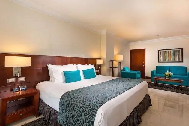 Superior Tek Büyük Yataklı Oda, 1 En Büyük (King) Boy Yatak ve Çekyat