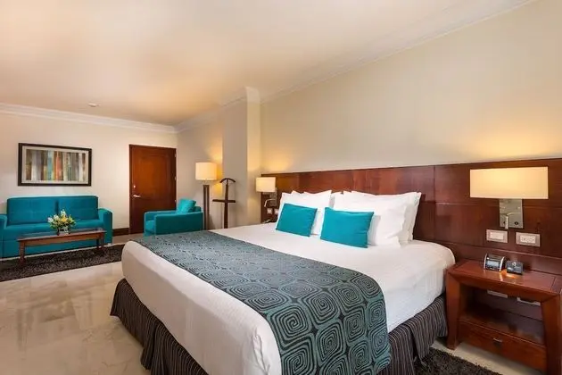 Superior Tek Büyük Yataklı Oda, 1 En Büyük (King) Boy Yatak ve Çekyat