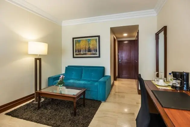 Superior Tek Büyük Yataklı Oda, 1 En Büyük (King) Boy Yatak ve Çekyat