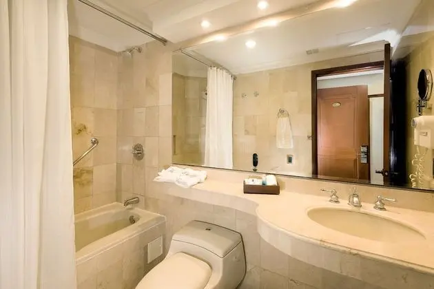 Superior Tek Büyük Yataklı Oda, 1 En Büyük (King) Boy Yatak ve Çekyat