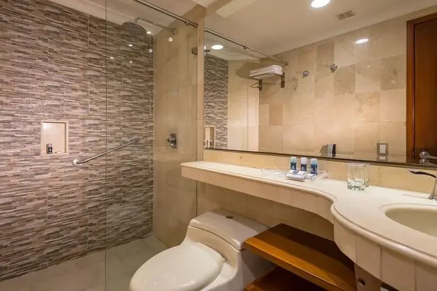 Superior Tek Büyük Yataklı Oda, 1 En Büyük (King) Boy Yatak ve Çekyat