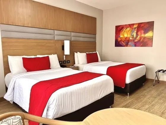Deluxe Tek Büyük Yataklı Oda, 2 Tek Kişilik Yatak