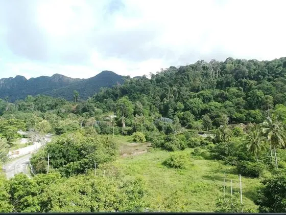 Odadan manzara