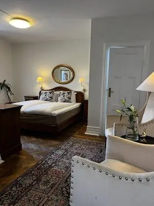 Superior Tek Büyük Yataklı Oda