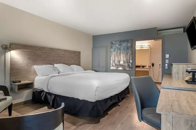 Standard Oda, 1 En Büyük (King) Boy Yatak, Engellilere Uygun, Sigara İçilmez (Walk-in Shower)
