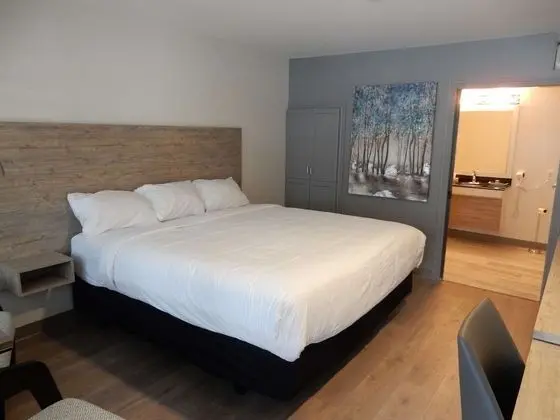 Standard Oda, 1 En Büyük (King) Boy Yatak, Engellilere Uygun, Sigara İçilmez (Walk-in Shower)