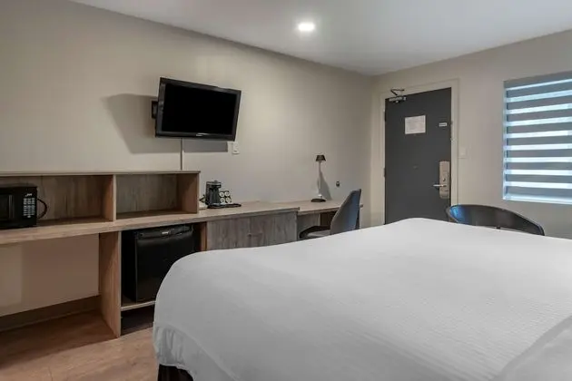 Standard Oda, 1 En Büyük (King) Boy Yatak, Engellilere Uygun, Sigara İçilmez (Walk-in Shower)