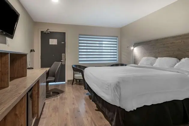 Standard Oda, 1 En Büyük (King) Boy Yatak, Engellilere Uygun, Sigara İçilmez (Walk-in Shower)