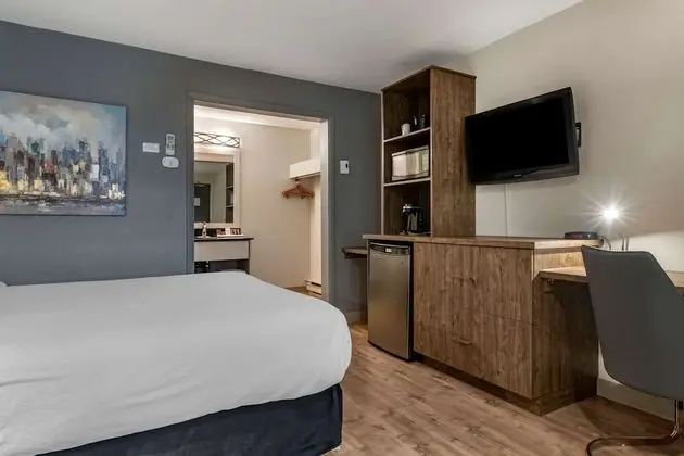 Standard Oda, 1 En Büyük (King) Boy Yatak, Engellilere Uygun, Sigara İçilmez (Walk-in Shower)