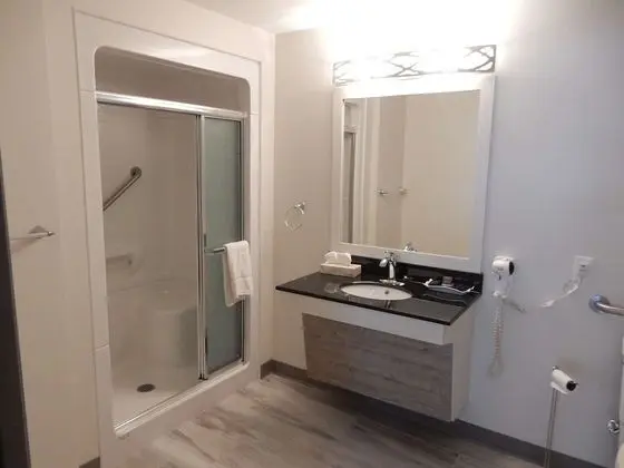 Standard Oda, 1 En Büyük (King) Boy Yatak, Engellilere Uygun, Sigara İçilmez (Walk-in Shower)